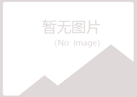 黑龙江夏青采矿有限公司